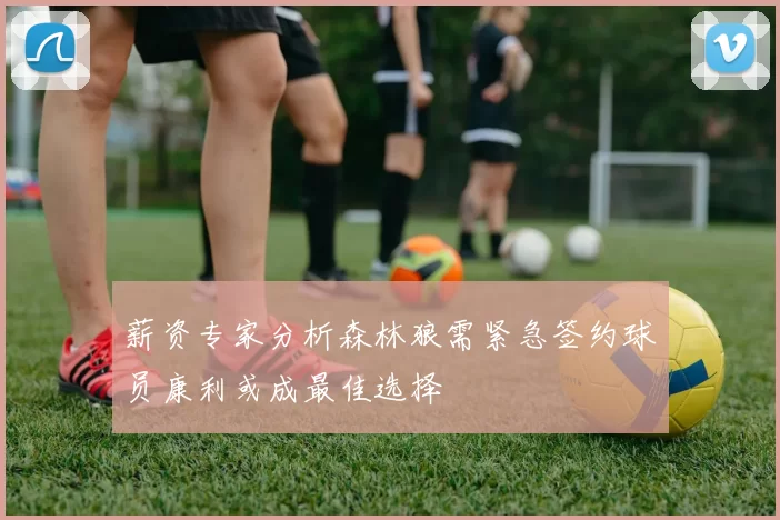 薪资专家分析森林狼需紧急签约球员康利或成最佳选择